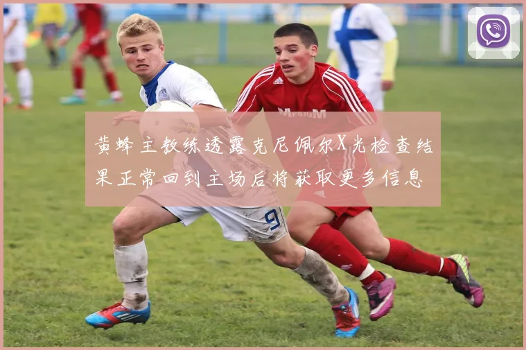 黄蜂主教练透露克尼佩尔X光检查结果正常回到主场后将获取更多信息