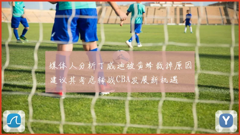 媒体人分析丁威迪被黄蜂裁掉原因建议其考虑转战CBA发展新机遇