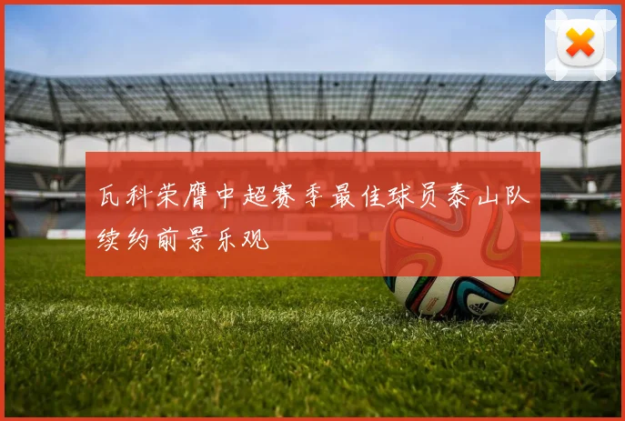 瓦科荣膺中超赛季最佳球员泰山队续约前景乐观
